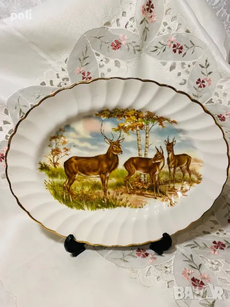 порцеланово плато , снимка 1