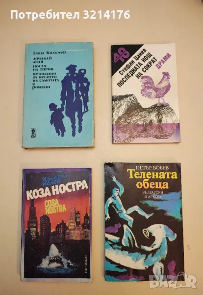 Телената обеца - Петър Бобев, снимка 1