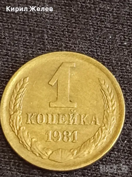 Стара монета 1 копейка 1981г. СССР рядка за КОЛЕКЦИЯ ДЕКОРАЦИЯ 39195, снимка 1