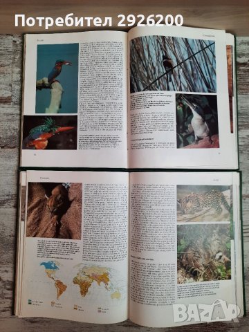 ЕНЦИКЛОПЕДИЯ ЗА ЖИВОТНИ 5БР., снимка 10 - Енциклопедии, справочници - 38065436