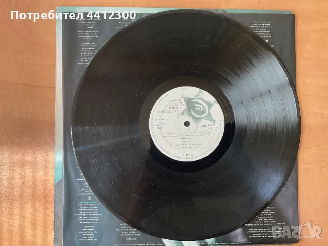 Грамофонна плоча 12”, снимка 4 - Грамофонни плочи - 49745500