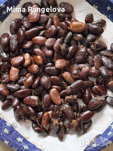 Семена Пау пау 