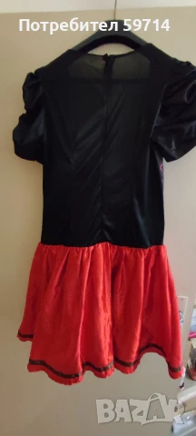 Карнавален костюм за големи, снимка 2 - Рокли - 50596297