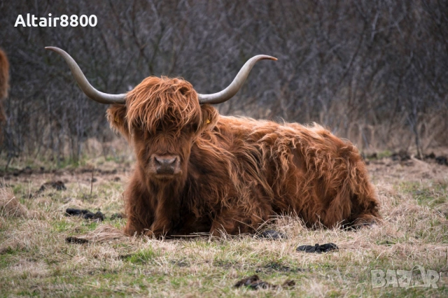 Nikon AF-S 55-200mm f/4-5.6G ED VR обектив Никон, снимка 9 - Обективи и филтри - 53014652