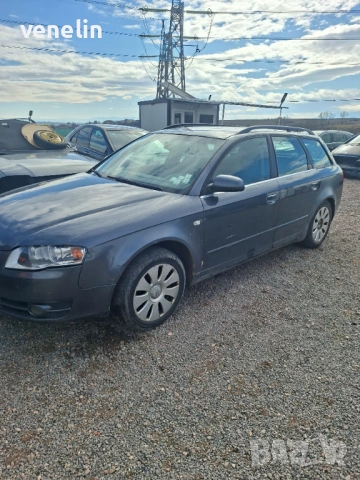 Ауди А4 Б7 2.5тди ръчка На Части, снимка 2 - Автомобили и джипове - 53439488