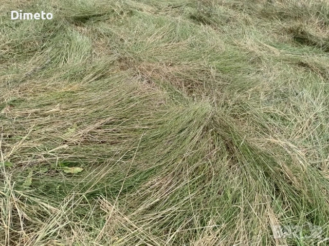 Бали сено, снимка 2 - За селскостопански - 51217940