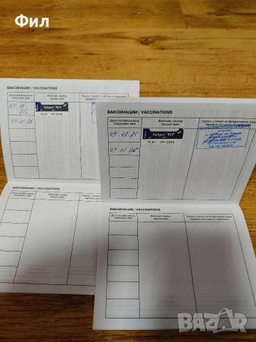 Британски котенца , снимка 5 - Британска късокосместа - 52723562