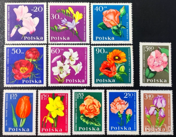 Полша, 1964 г. - лот марки на тема спорт, юбилей, олимпиада, космос, цветя, ВСВ и др., снимка 8 - Филателия - 53526901