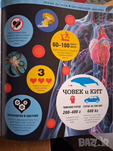 Детска енциклопедия за човешкото тяло, снимка 3 - Детски книжки - 52718503