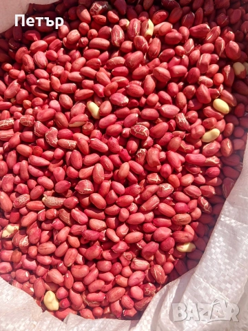 фъстъци български