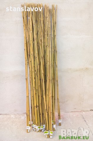 Бамбукови пръчки 210 см дължина в Декорация за дома в гр. Стара Загора -  ID19929162 — Bazar.bg