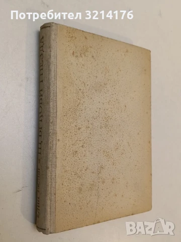 Алеко Константинов - Георги Константинов (1957), снимка 2 - Художествена литература - 51339375