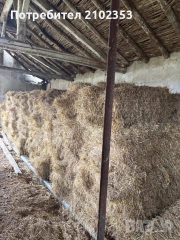 Продавам бали, снимка 3 - За селскостопански - 53380580