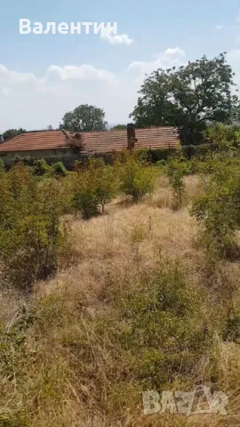 Продава се дворно място 1 800 дка в с. Оряховица, снимка 3 - Парцели - 46948340