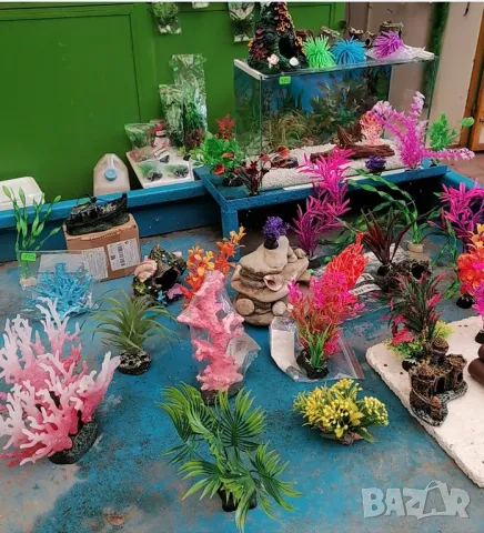 Продавам аквариуми риби аксесоари, снимка 6 - Аквариуми - 47433173