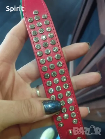 Каишки с камъни за средни породи кучета , снимка 4 - За кучета - 47808832