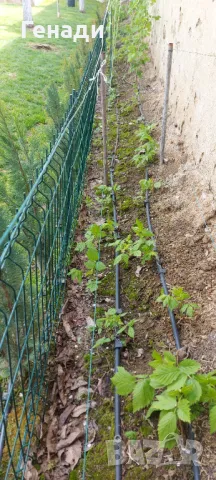 Изграждане на капково напояване - поливни системи в парници градини и дворове за Шумен Търговище , снимка 5 - Напояване - 49839055