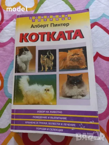 Котката - Алберт Пинтер