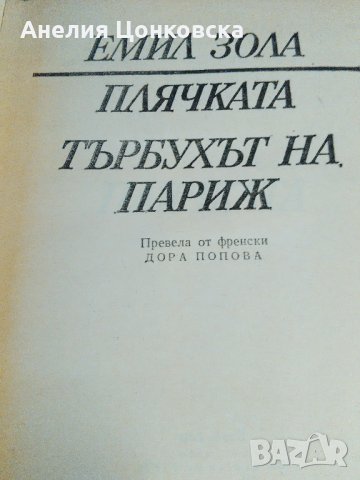 ЕМИЛ ЗОЛА избрани творби 5 тома за 40 лв., снимка 2 - Художествена литература - 26483924