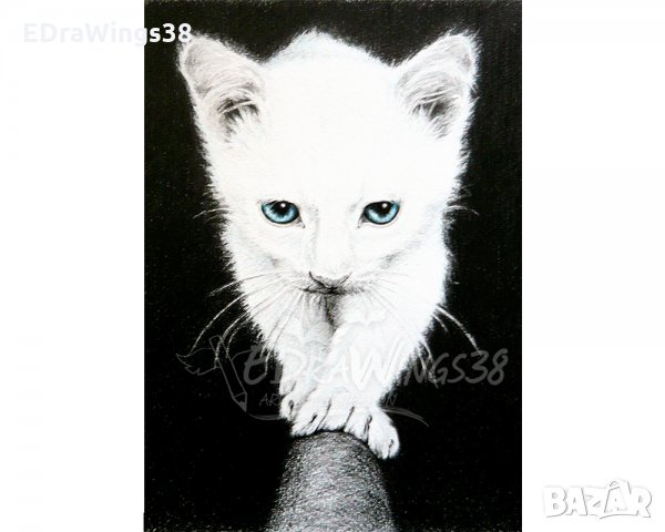 Картичка "Бяло коте" / котка, животни, принт, графика, снимка 4 - Други - 28337210