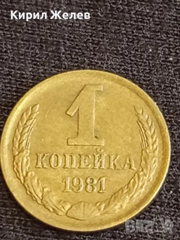 Стара монета 1 копейка 1981г. СССР рядка за КОЛЕКЦИЯ ДЕКОРАЦИЯ 39195