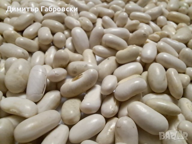 Български бял боб за варене, снимка 1 - Домашни продукти - 43102477