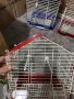 Клетки за птици , снимка 2