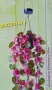 Соларно осветление Петунии висящи LED лампи , снимка 3