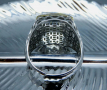 Масивен сребърен пръстен с Балтийски кехлибар и запазен в него паяк., снимка 6