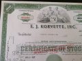 Сертификат за притежание на 100 акции (САЩ) | E. J. Korvette Inc. | 1967г., снимка 2