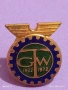 Винтидж значка на винт 50г. GTW рядка за КОЛЕКЦИЯ 53618, снимка 4