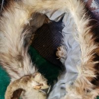 Естествен шал лисица, снимка 4 - Шалове - 43322113