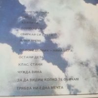 Грамофонна плоча ВТА 11480. Благовест и Светослав Аргирови. ВТА 11202 "Момиче за двама". , снимка 3 - Грамофонни плочи - 40109647