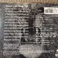 SANTANA-CD, снимка 5 - CD дискове - 38720139