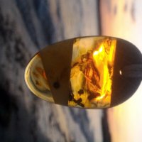 Приказна висулка от естествен балтийски кехлибар / Fabulous Pendant made of Natural Baltic Amber, снимка 18 - Колиета, медальони, синджири - 33332781