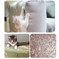 Безцветен протектор за мебели 2бр. при надраскване от котки кучета, снимка 6 - За котки - 40338472