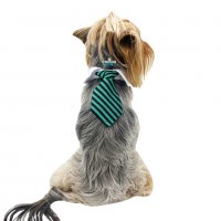 Вратовръзка за куче Официален костюм за куче Кучешки вратовръзки/папийонки Кучешка вратовръзка , снимка 2 - За кучета - 35995600