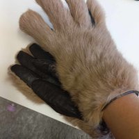 Дамски зимни ръкавици в съчетание от естествена кожа и естествен пух от лисица, снимка 4 - Други - 43838874