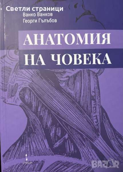 Анатомия на човека - Ванко Ванков, Георги Гълъбов, снимка 1