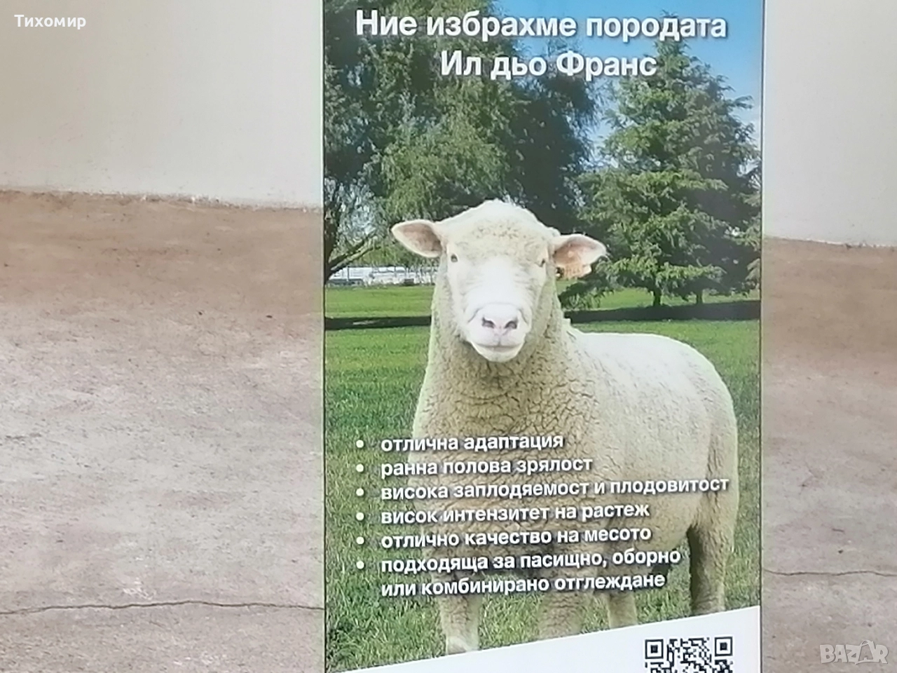 продавам две шилета-35-40кг. , снимка 1