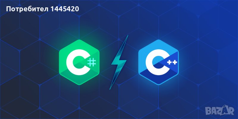 Курсови Задачи Курсови Работи, снимка 1