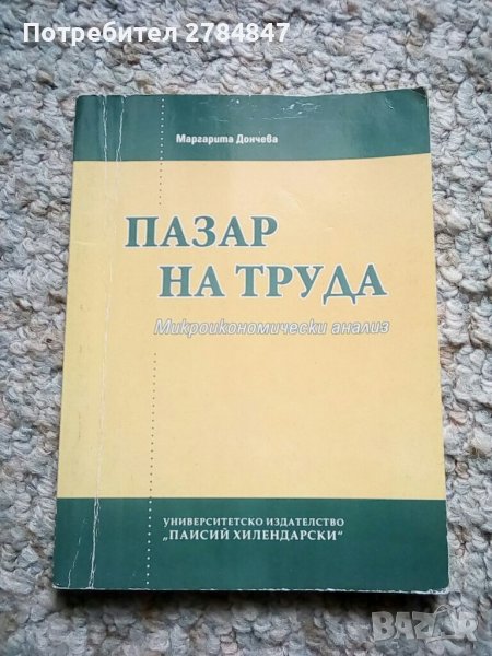 Пазар на труда Микроикономически анализ, снимка 1