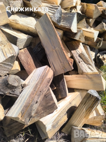 Продавам чамови пънчета за подпалки, снимка 2 - Други стоки за дома - 51786991