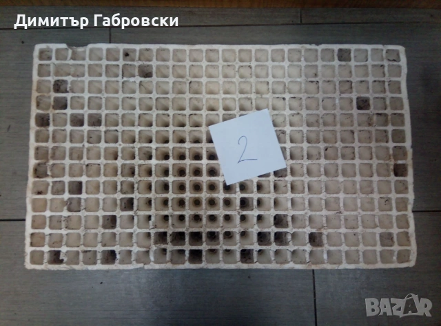 Тарини с 336, 280 и 286 гнезда, снимка 4 - Разсади - 53200510