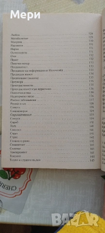 Кристалът лечител, снимка 9 - Антикварни и старинни предмети - 53593730