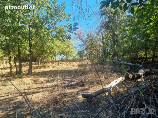 Продава се масивна сграда с двор – с. Марикостиново, общ. Петрич, снимка 12 - Къщи - 51583145