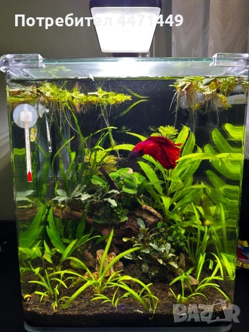 Оборудван Аквариум 