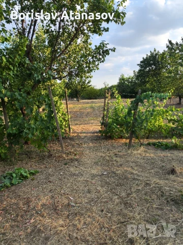 Къща в с.Ветрен , снимка 7 - Къщи - 51286520