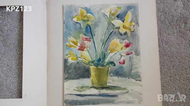 КАРТИНА НАТЮРМОРТ акварел / МАРИЯ МЕЖДУРЕЧКА, снимка 2 - Картини - 29059655