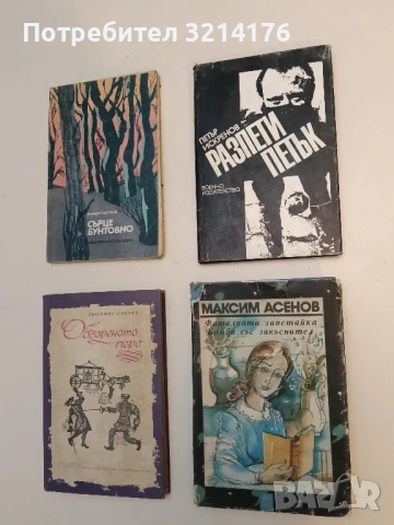 Фаталната запетайка; Бомба със закъснител - Максим Асенов